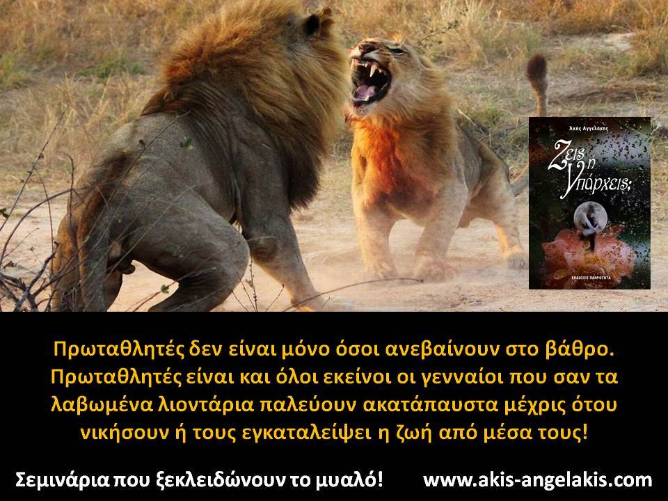 Ζήσε λιονταρίσια!