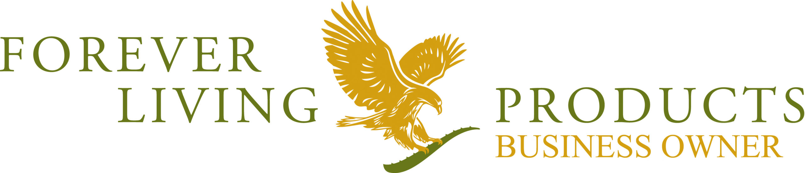 Άκης Αγγελάκης Business and Life Training