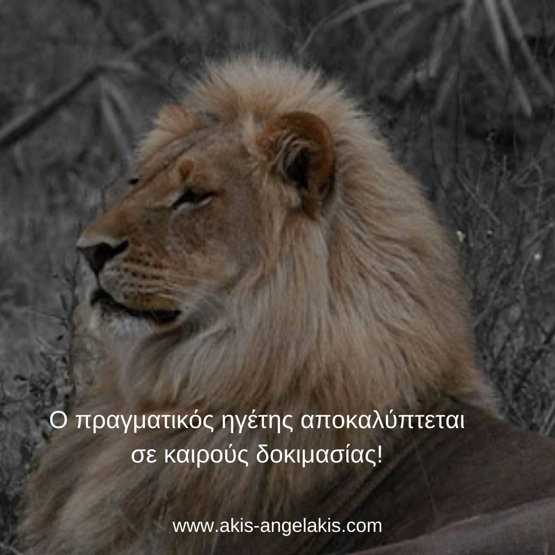ΟΙ ΚΡΙΣΕΙΣ ΓΕΝΝΟΥΝ ΗΓΕΤΕΣ!