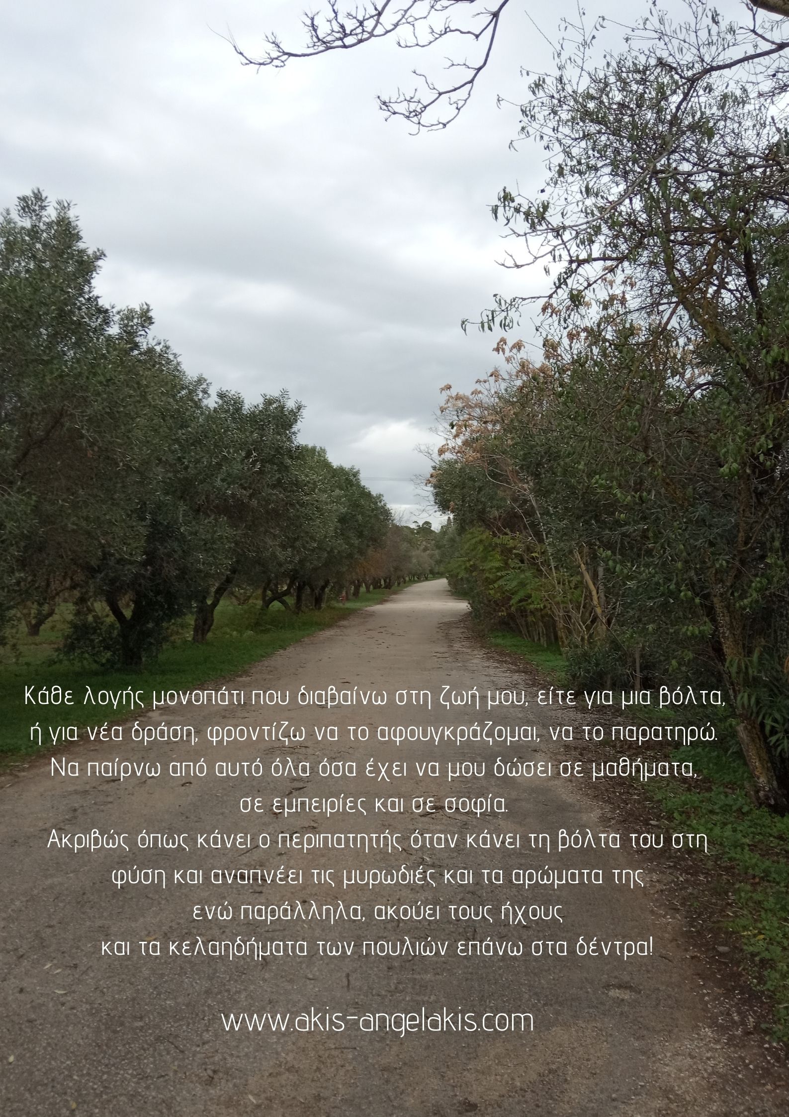 Τα μονοπάτια της ζωής!