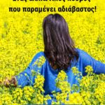 Άκης Αγγελάκης Business and Life Training